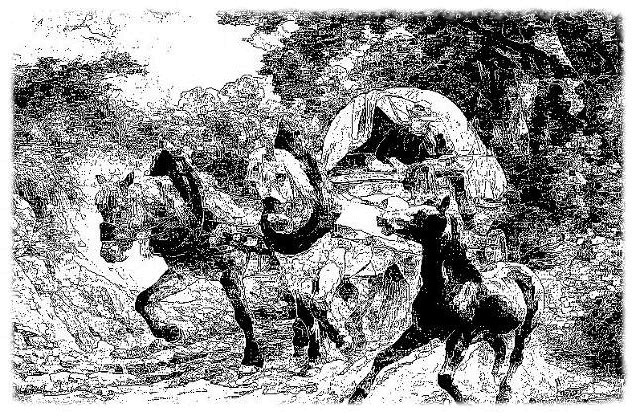 Иллюстрация к книге — Махагон [i_001.jpg]