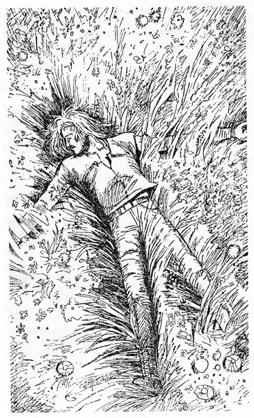 Иллюстрация к книге — Зачет по выживаемости [_10.jpg]