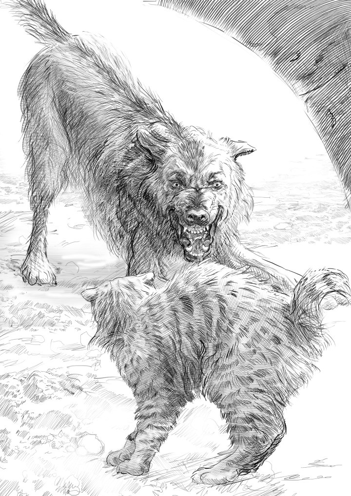 Иллюстрация к книге — Свет мой, зеркальце [p3c11s2.jpg]