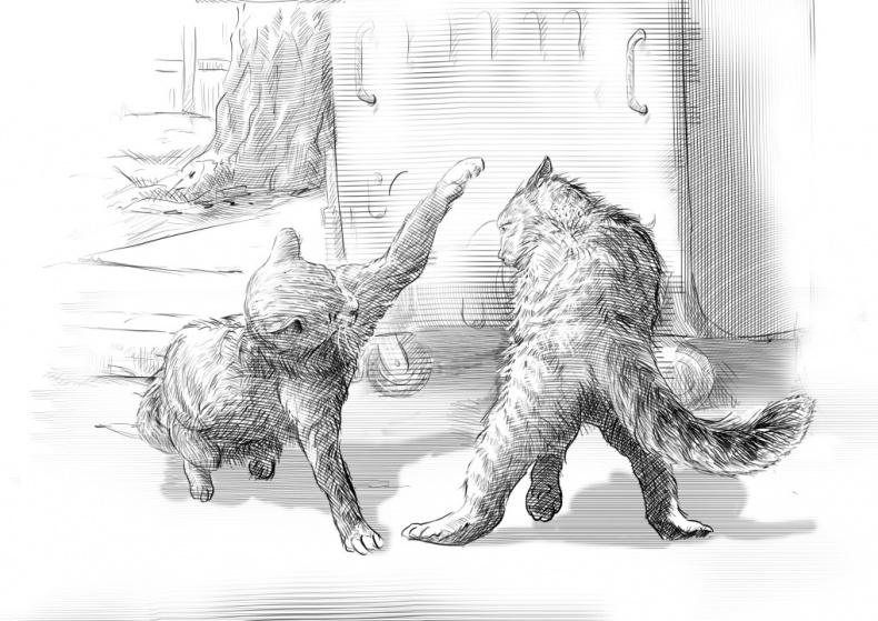 Иллюстрация к книге — Свет мой, зеркальце [title2.jpg]