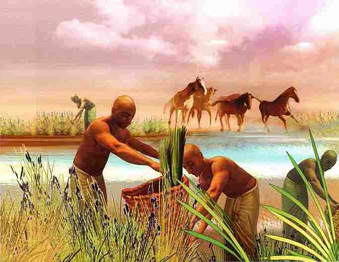 Иллюстрация к книге — Древняя Месопотамия. Школьный путеводитель [i_009.jpg]