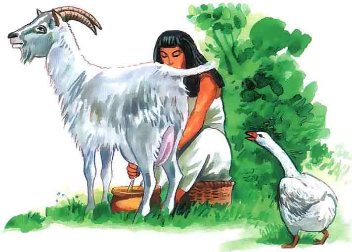 Иллюстрация к книге — Древний Египет [i_059.jpg]