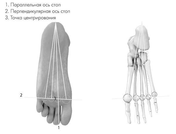 Иллюстрация к книге — САТ: Сакральная архитектура тела. Экспресс-методика [i_014.jpg]
