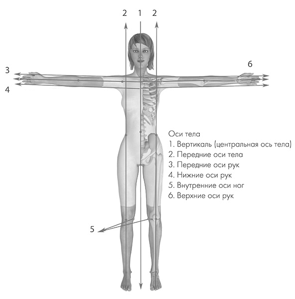 Иллюстрация к книге — САТ: Сакральная архитектура тела. Экспресс-методика [i_015.jpg]