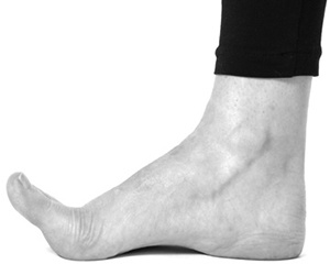 Иллюстрация к книге — САТ: Сакральная архитектура тела. Экспресс-методика [i_026.jpg]