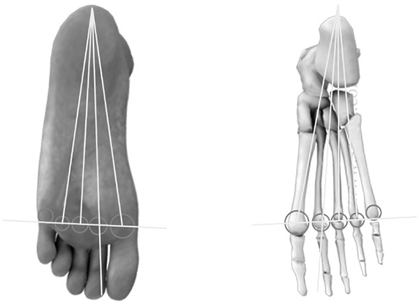 Иллюстрация к книге — САТ: Сакральная архитектура тела. Экспресс-методика [i_027.jpg]