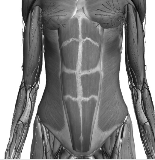 Иллюстрация к книге — САТ: Сакральная архитектура тела. Экспресс-методика [i_028.jpg]