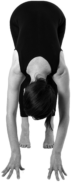 Иллюстрация к книге — САТ: Сакральная архитектура тела. Экспресс-методика [i_037.jpg]