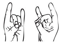 Иллюстрация к книге — Рэйки. Свет и сила [i_011.jpg]