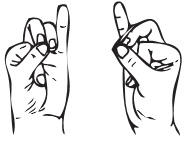 Иллюстрация к книге — Рэйки. Свет и сила [i_015.jpg]