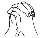 Иллюстрация к книге — Рэйки. Свет и сила [i_017.jpg]