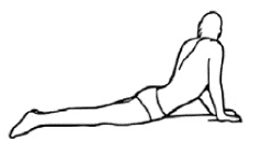 Иллюстрация к книге — Фрукторианство. Новый взгляд на эволюцию питания человека [_130_2.jpg]