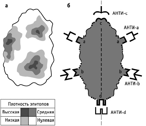 Иллюстрация к книге — Фрукторианство. Новый взгляд на эволюцию питания человека [_182.jpg]