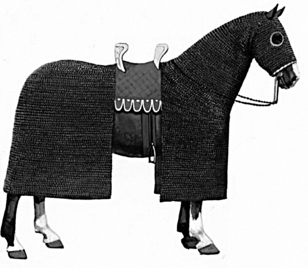 Иллюстрация к книге — Рыцари. Полная иллюстрированная энциклопедия [i_051.jpg]