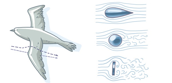 Иллюстрация к книге — Самолеты и авиация [i_005.jpg]