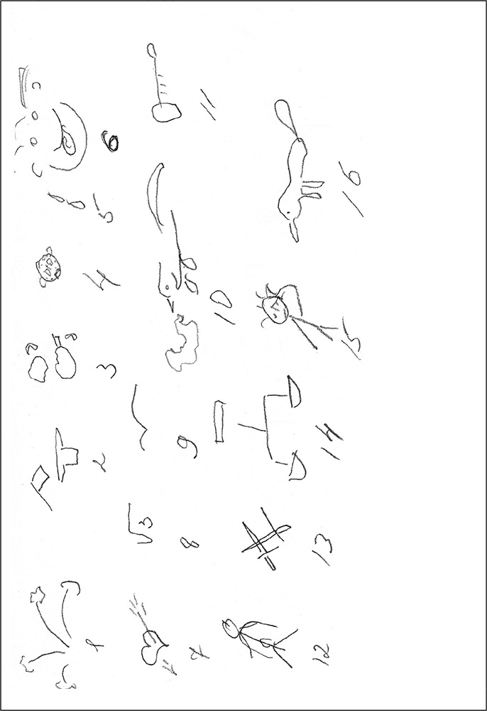 Иллюстрация к книге — Особенности дифференциальной диагностики расстройств мышления на примерах клинической практики [i_003.jpg]