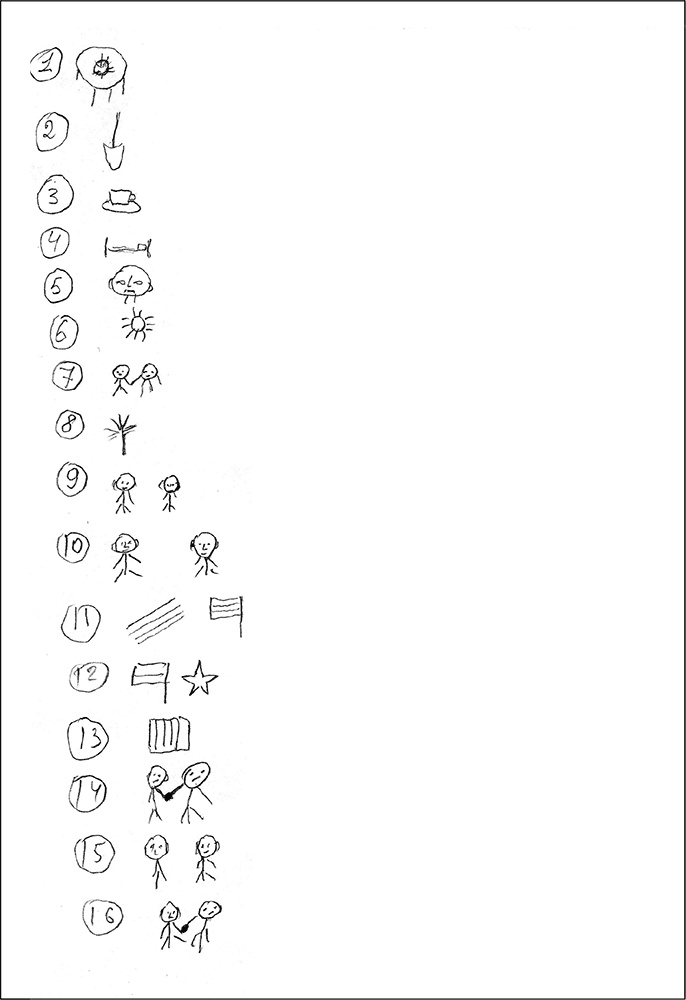 Иллюстрация к книге — Особенности дифференциальной диагностики расстройств мышления на примерах клинической практики [i_008.jpg]