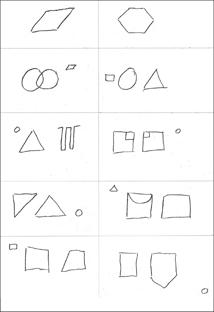 Иллюстрация к книге — Особенности дифференциальной диагностики расстройств мышления на примерах клинической практики [i_021.jpg]