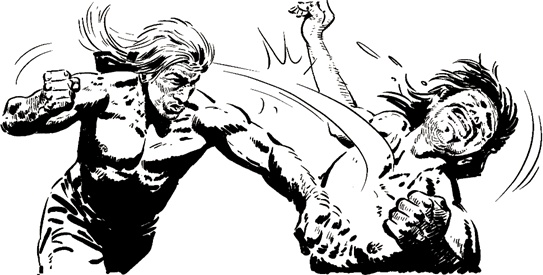 Иллюстрация к книге — Король Мадагаскара. Книга первая [i_017.jpg]