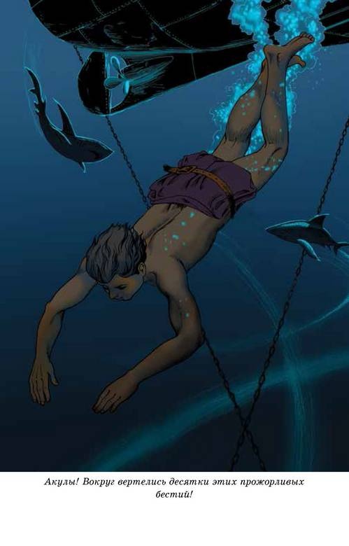 Иллюстрация к книге — Капитан Сорвиголова [i_008.jpg]