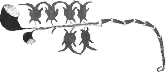 Иллюстрация к книге — Танго смерти [_1.jpg]