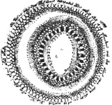 Иллюстрация к книге — Танго смерти [_10.jpg]