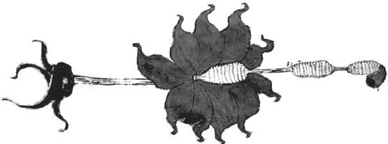 Иллюстрация к книге — Танго смерти [_11.jpg]