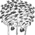 Иллюстрация к книге — Танго смерти [_19.jpg]