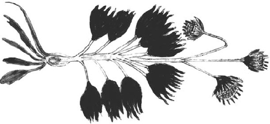 Иллюстрация к книге — Танго смерти [_22.jpg]