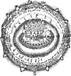 Иллюстрация к книге — Танго смерти [_29.jpg]