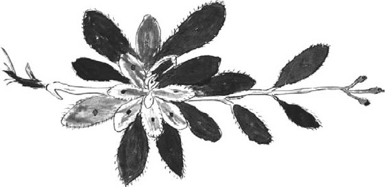 Иллюстрация к книге — Танго смерти [_32.jpg]