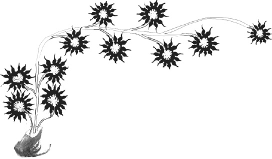 Иллюстрация к книге — Танго смерти [_34.jpg]