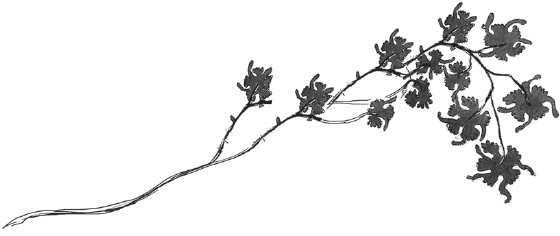 Иллюстрация к книге — Танго смерти [_38.jpg]