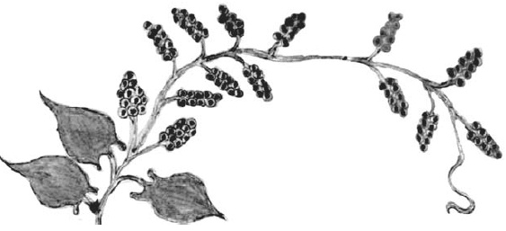 Иллюстрация к книге — Танго смерти [_5.jpg]