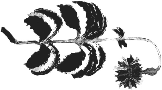 Иллюстрация к книге — Танго смерти [_50.jpg]