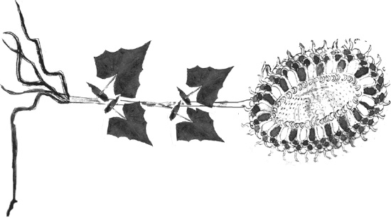 Иллюстрация к книге — Танго смерти [_54.jpg]