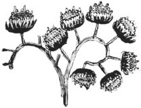 Иллюстрация к книге — Танго смерти [_8.jpg]