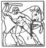 Иллюстрация к книге — История античного атлетизма [i_003.jpg]