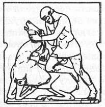 Иллюстрация к книге — История античного атлетизма [i_011.jpg]