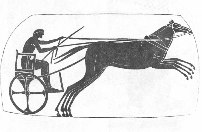 Иллюстрация к книге — История античного атлетизма [i_036.jpg]