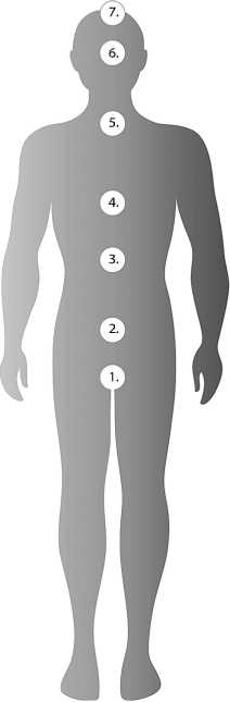 Иллюстрация к книге — Эгрегоры и система управления реальностью [i_056.jpg]