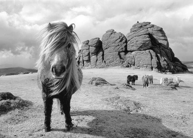 Иллюстрация к книге — Джоан Роулинг. Всё о Гарри Поттере, жизни и любви [i_022.jpg]