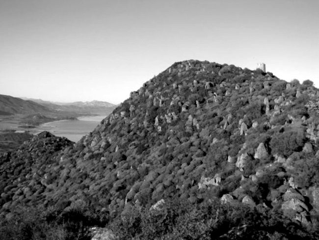 Иллюстрация к книге — Айседора Дункан. Модерн на босу ногу [i_044.jpg]