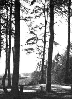 Иллюстрация к книге — Коломяги и Комендантский аэродром. Прошлое и настоящее [_049.jpg]