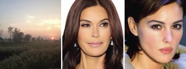 Иллюстрация к книге — Основы личного стиля [_062.jpg]