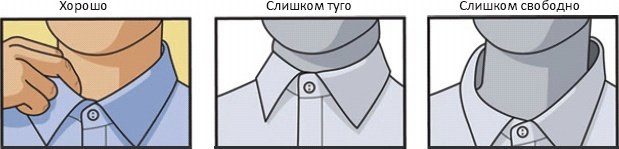 Иллюстрация к книге — Основы личного стиля [_251_3.jpg]