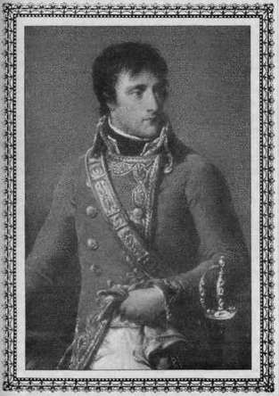 Иллюстрация к книге — Алмаз, погубивший Наполеона [doc2fb_image_02000004.jpg]