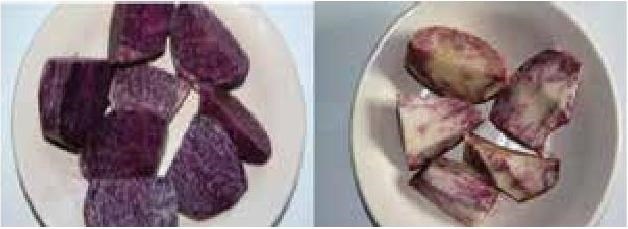 Иллюстрация к книге — Рабочий календарь дачника, или Рабочие будни на даче [b00000362.jpg]