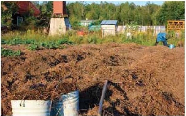 Иллюстрация к книге — Рабочий календарь дачника, или Рабочие будни на даче [b00000417.jpg]