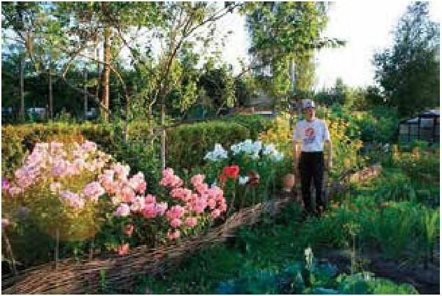 Иллюстрация к книге — Рабочий календарь дачника, или Рабочие будни на даче [b00000435.jpg]